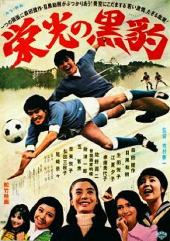 Fight for the Glory movie poster