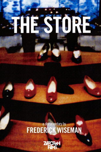 The Store movie poster