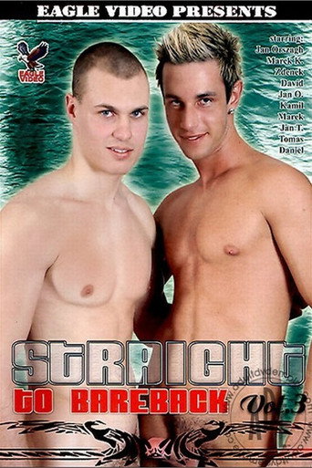Straight to Bareback 3 movie poster