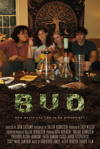BUD movie poster