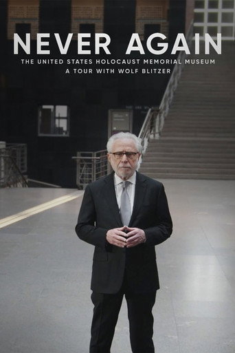 Never Again: The United States Holocaust Memorial Museum - A Tour with Wolf Blitzer movie poster