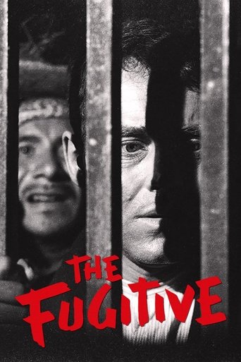 The Fugitive movie poster