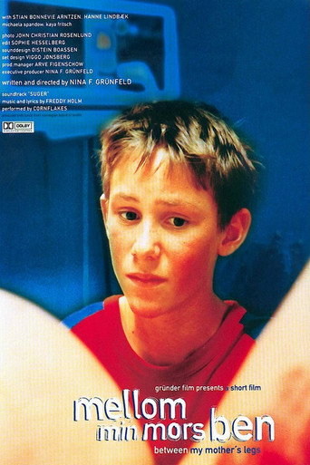 Between My Mother's Legs movie poster