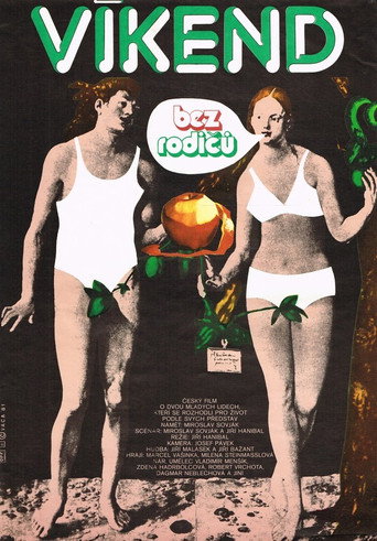 Víkend bez rodičů movie poster