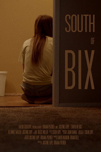 South of Bix movie poster