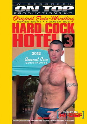 Hard Cock Hotel 3 movie poster