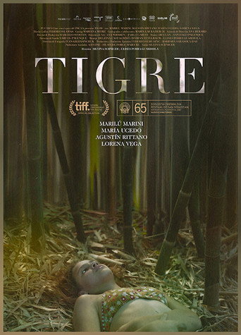 Tigre movie poster