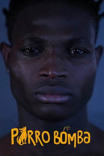 Perro bomba movie poster