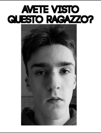 Polpette n.86 movie poster