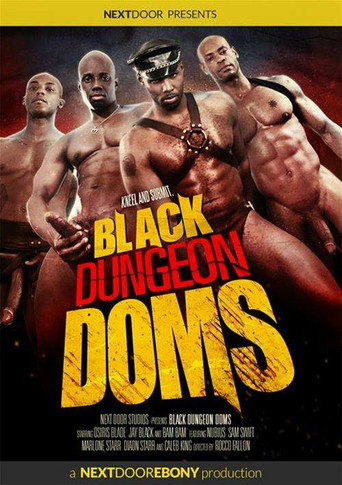 Black Dungeon Doms movie poster