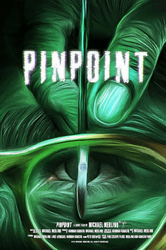 PINPOINT movie poster