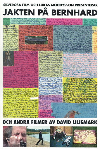 The Search for Bernhard movie poster