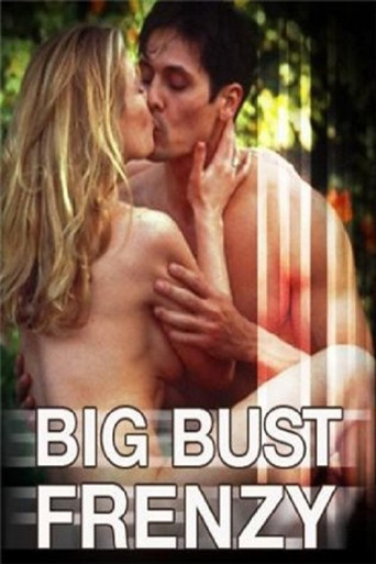 Big Bust Frenzy movie poster