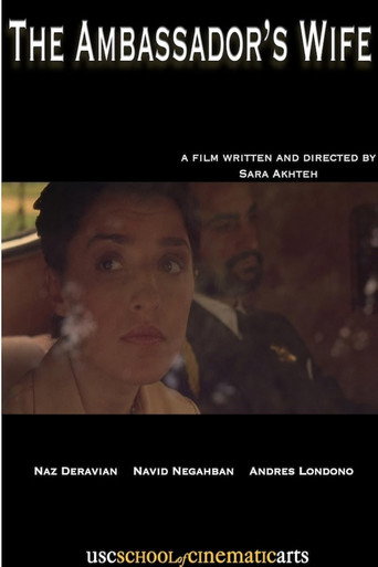 The Ambassador's Wife movie poster