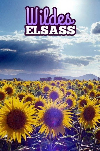 Wildes Elsass movie poster