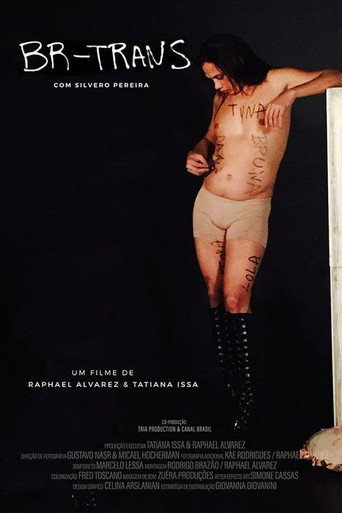 BR Trans movie poster