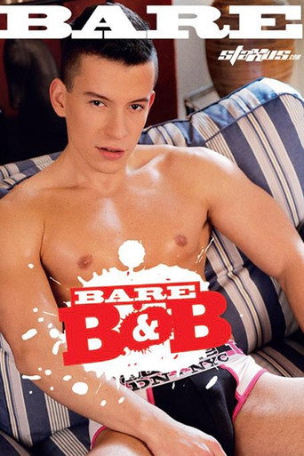 Bare B&B movie poster