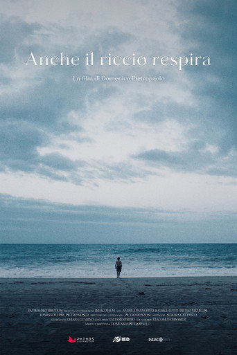 Anche il riccio respira movie poster