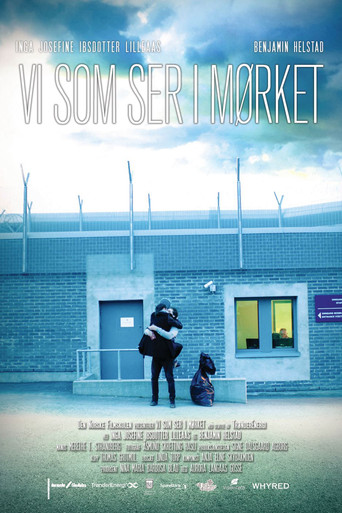 We See in the Dark movie poster