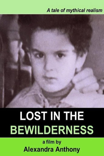 Lost in the Bewilderness movie poster