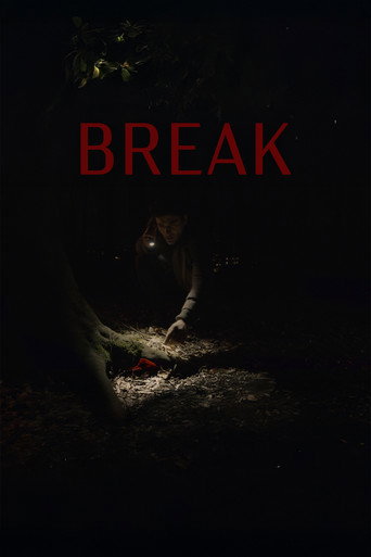 Break movie poster