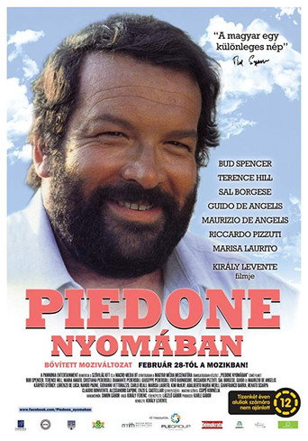 Piedone nyomában movie poster