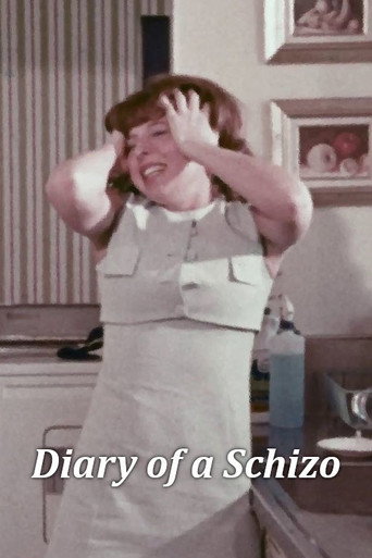 Diary of a Schizo movie poster