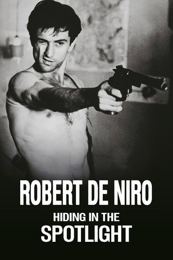 Robert De Niro: Hiding in the Spotlight movie poster
