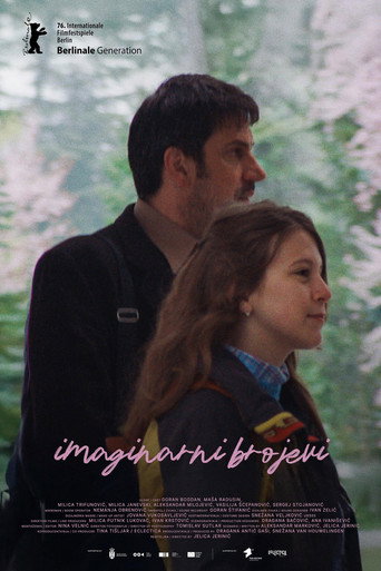 Imaginary Numbers movie poster