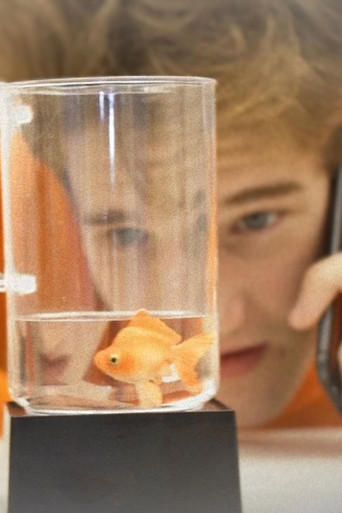 A Fishy State of Mind movie poster