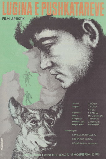 Valley of the Riflemen movie poster