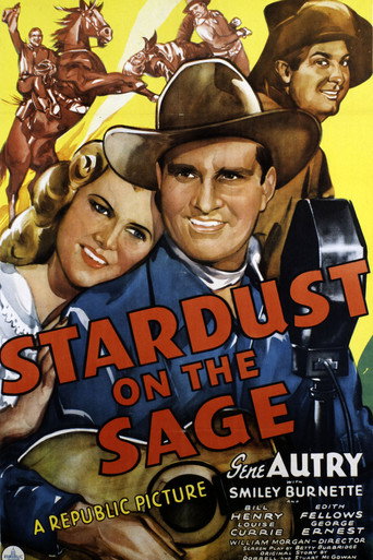 Stardust on the Sage movie poster