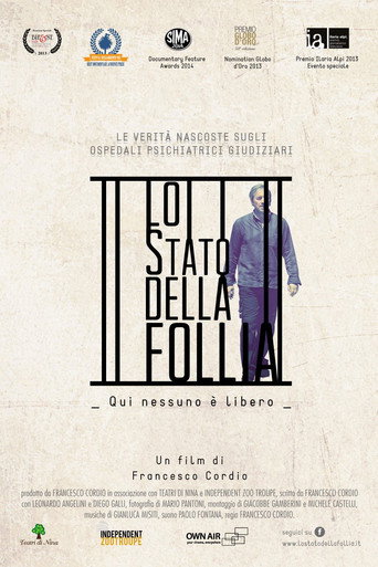 Lo stato della follia movie poster
