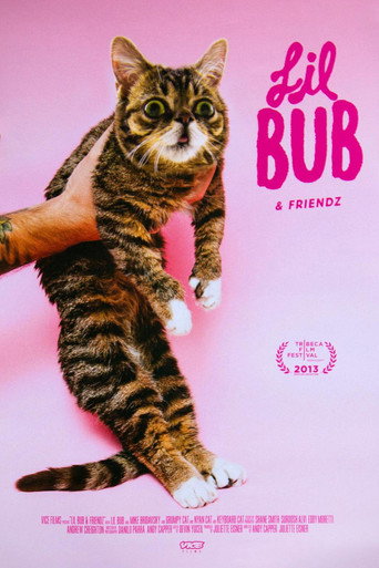 Lil Bub & Friendz movie poster