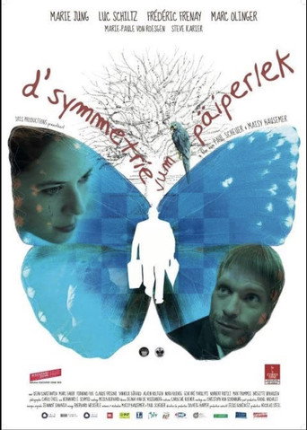 D'Symmetrie vum Päiperlek movie poster