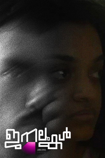 Windows movie poster
