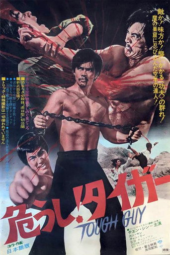 Revenge of the Dragon movie poster