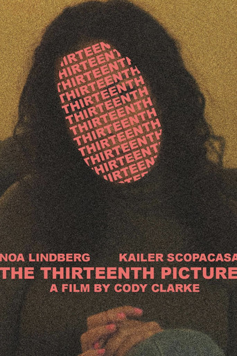 The 13th Picture movie poster