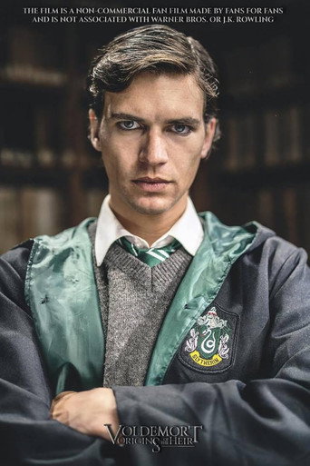 Voldemort: Origins of the Heir movie poster