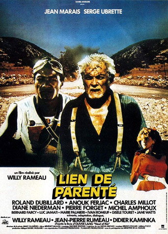 Lien de parenté movie poster