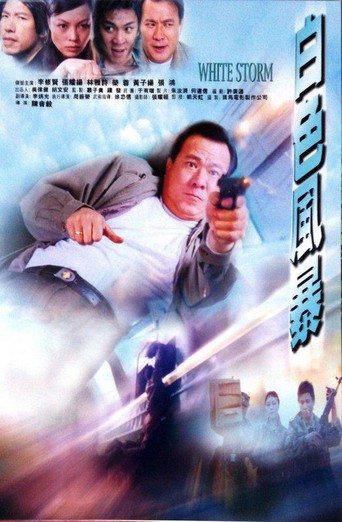 White Storm movie poster