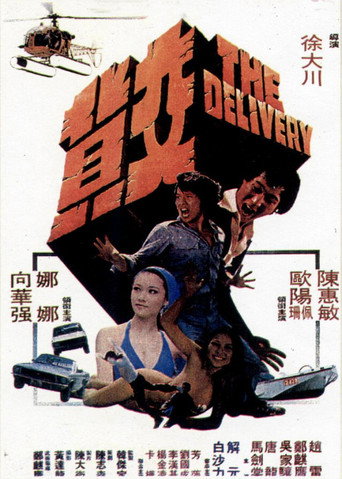 The Delivery movie poster