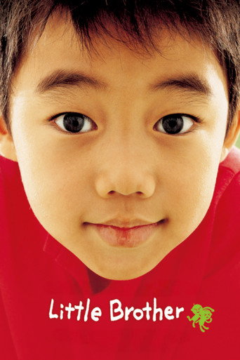 Little Brother movie poster