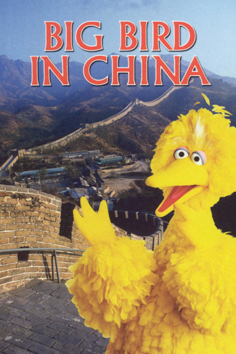 Big Bird in China movie poster