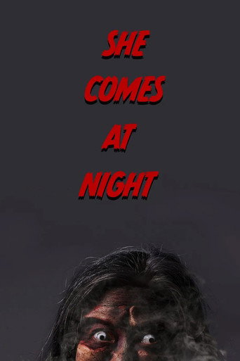 She Comes at Night movie poster