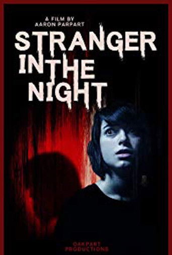 Stranger in the Night movie poster