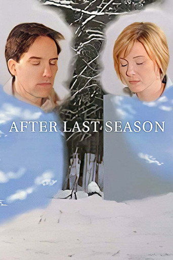 After Last Season movie poster