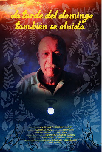 La tarde del domingo también se olvida movie poster