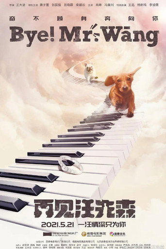 Bye, Mr Wang! movie poster