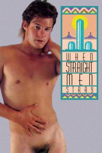 When Straight Men Stray movie poster